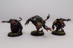 KODAK Digital Still Camera