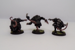 KODAK Digital Still Camera