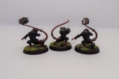 KODAK Digital Still Camera