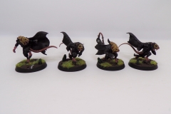 KODAK Digital Still Camera