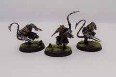 KODAK Digital Still Camera