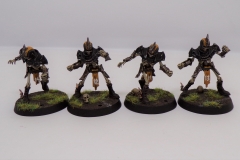 KODAK Digital Still Camera