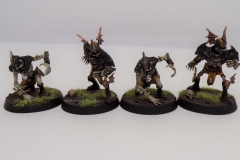 KODAK Digital Still Camera