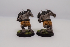 KODAK Digital Still Camera