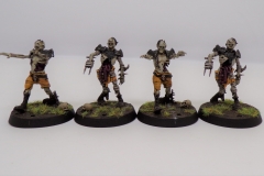 KODAK Digital Still Camera