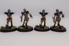 KODAK Digital Still Camera