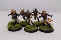 KODAK Digital Still Camera